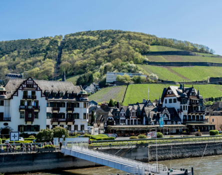 6 Reasons to Experience the Trafalgar River Cruise in 2026