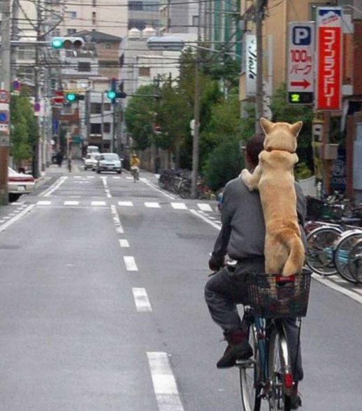 Uncover Unique Experiences in Tokyo: A Traveler’s Dream