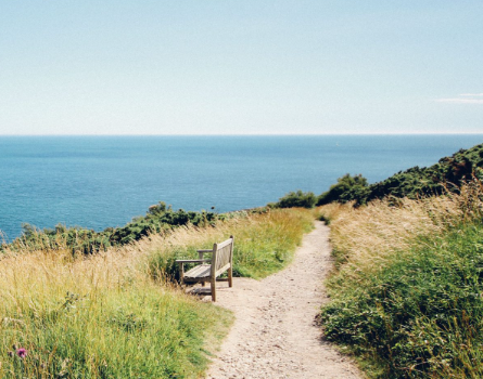 The Camino: What I Expected vs. What I Experienced