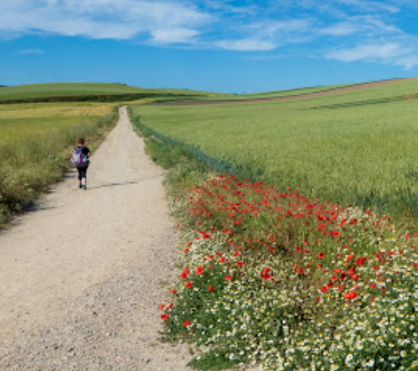 The Camino: A Journey of Surprises and Self-Discovery