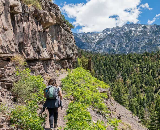 How to Discover Amazing Hiking Trails: A Beginner’s Guide
