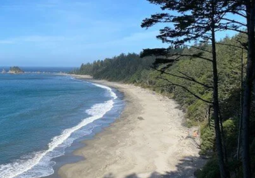How to Plan Your South Coast Wilderness Trail Adventure