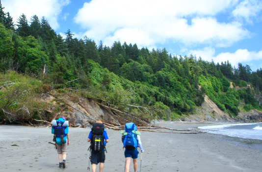 Backpacking the Olympic Peninsula: A Journey Along the South Coast Wilderness Trail