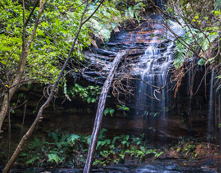 Exploring the South Lawson Waterfall Circuit, Blue Mountains: A Complete Hiking Guide