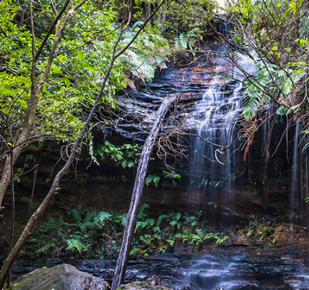 Exploring the South Lawson Waterfall Circuit, Blue Mountains: A Complete Hiking Guide