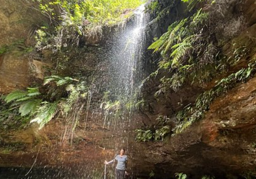 12 Incredible Day Hikes in the Blue Mountains for Nature Lovers
