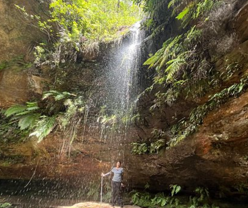 12 Incredible Day Hikes in the Blue Mountains for Nature Lovers