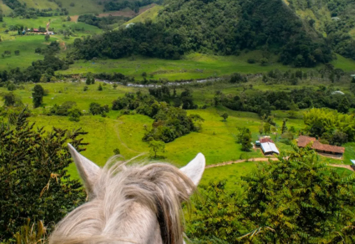 The Ultimate Guide to Salento, Colombia: Best Things to Do and See