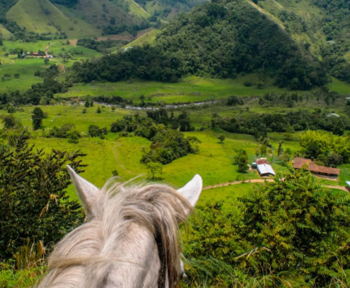 The Ultimate Guide to Salento, Colombia: Best Things to Do and See