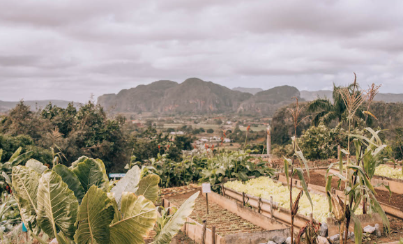 5 Reasons Valle de Viñales Should Be on Your Cuba Itinerary