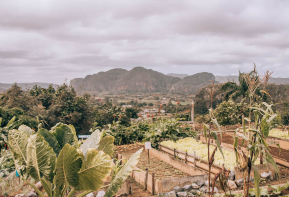 5 Reasons Valle de Viñales Should Be on Your Cuba Itinerary