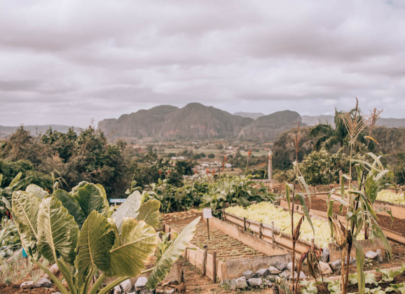 5 Reasons Valle de Viñales Should Be on Your Cuba Itinerary