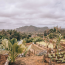 5 Reasons Valle de Viñales Should Be on Your Cuba Itinerary