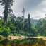 8 Essential Tips for Visiting Taman Negara Pahang